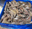 生冷凍南美白對蝦 2kg 2kg(凈重) 曬單實(shí)拍圖