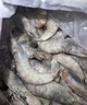 東上御品蝦 青島大蝦基圍蝦鮮活青蝦白蝦海蝦對蝦冰蝦凍蝦生鮮 蝦類 海鮮 3斤(凈重)  氣凍大蝦【活蝦速凍】 15-18cm【單只超大蝦】 曬單實拍圖