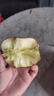 三萌果蔬花牛蘋(píng)果 甘肅當季新鮮紅蛇粉面蘋(píng)果嬰兒輔食水果中秋禮盒送禮 5斤精品果【單果70-75mm】?jì)?.5斤 曬單實(shí)拍圖