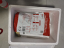 悅味紀(jì) 嵊州老面鮮肉小籠包800g 約30只 手工包子 早餐半成品 速食 曬單實拍圖
