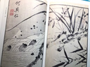 芥子園畫(huà)傳(彩色閱讀本)全套3冊 梅蘭竹菊山石草蟲(chóng)翎毛花卉畫(huà)譜繪畫(huà)技法教材 國畫(huà)工筆畫(huà)水墨畫(huà)正版書(shū)籍浙江人民美術(shù)出版社圖書(shū)籍 曬單實(shí)拍圖