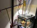 閣居極簡客廳沙發(fā)旁落地?zé)舸髿鈺琅_燈北歐彩色售樓設(shè)計師展廳落地?zé)?大號落地?zé)?曬單實拍圖
