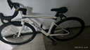 喜德盛（xds）xds ad300喜德盛ad300 25款公路車喜德盛公路車公路自行車喜德盛 2025款|白蛇 700Cx480mm|身高165-175cm 曬單實拍圖