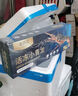 漁游記（YUYOUJI）印尼小青龍蝦凈蝦400-500g/2只超大龍蝦 花龍海鮮水產(chǎn)冷凍大蝦 曬單實拍圖
