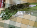  大芹菜約400g 曬單實(shí)拍圖
