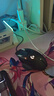 羅技（G）G502 HERO主宰者游戲鼠標電競鼠標有線(xiàn)RGB機械配重競技FPS吃雞宏cf送男友男生禮物 G502HERO+星守阿貍桌墊+收納盒 曬單實(shí)拍圖