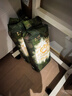 babycare金山茶花紙尿褲M(mǎn)50片(6-11kg)嬰兒尿不濕超薄透氣新生柔花苞褲 曬單實(shí)拍圖