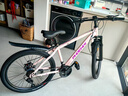 鳳凰山地自行車(chē)男士女士成人學(xué)生鋁合金禧瑪諾變速減震城市通勤山地車(chē) 粉色/輻條【鋁合金雙層車(chē)圈】 24英寸【身高145-170左右】 21速進(jìn)口禧瑪諾/碳鋼架 曬單實(shí)拍圖