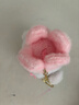 MAILE KID蒜鳥(niǎo)發(fā)聲玩偶武漢文創(chuàng  )櫻花限定粉色毛絨玩偶掛件生日元旦新年禮物 曬單實(shí)拍圖