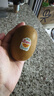 佳沛（zespri）新西蘭 陽(yáng)光金果12粒單果約122-146g 獼猴桃 中秋水果禮盒 曬單實(shí)拍圖