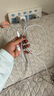 倍思蘋(píng)果數據線(xiàn)PD20W快充線(xiàn)Type-c to lightning充電線(xiàn)適用iPhone14/13Pro Max/12/11手機車(chē)載2米 紫 曬單實(shí)拍圖