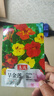 【當季新種】旱金蓮種子垂吊旱荷花籽草種烏金蓮花籽四季盆栽易種 旱金蓮種子/包約30粒 1包 曬單實(shí)拍圖