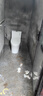 九牧（JOMOO）11396-2-1/31KB-1抗菌一級水效坐便器暴風(fēng)虹吸式節水馬桶305坑距 曬單實(shí)拍圖
