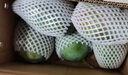 京鮮生 攀枝花凱特芒果 凈重8.5斤 帶箱9斤 單果400g+ 生鮮水果源頭直發(fā) 曬單實(shí)拍圖