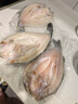 鮮京采三去海鱸魚(yú)3斤/3條 生鮮魚(yú)類(lèi) 白蕉鱸魚(yú)地標 中秋家宴魚(yú)類(lèi)源頭直發(fā) 曬單實(shí)拍圖