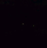 小鳳仙高亮夜光漂L-DL咬鉤變色浮漂日夜兩用高靈敏魚漂醒目野釣電子漂 曬單實拍圖