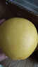 牛愛(ài)鮮 柚子黃金葡萄柚子新鮮水果生鮮水果 4.5斤裝3-5個(gè)果子單果300g+ 曬單實(shí)拍圖