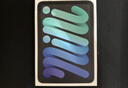 Apple/蘋(píng)果 iPad mini (A17 Pro) 8.3英寸 平板電腦(256G WLAN版/mini7/MXNA3CH/A)深空灰色 曬單實(shí)拍圖