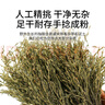 福東海 獨腳金20克 疳積草 獨角金黃花草孩兒野草煲湯原料生可做消積湯 曬單實(shí)拍圖
