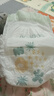 巴布豆（BOBDOG）新菠蘿拉拉褲XL碼36片（11.5-14kg）嬰兒尿不濕 超薄透氣 曬單實拍圖