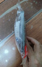 國際電工開關(guān)插座面板灰色家用86型暗裝墻壁一開雙控五孔空調(diào)電源多孔插座 五孔 插座 曬單實拍圖