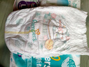 幫寶適（Pampers）清新幫拉拉褲L104 L104片清新幫拉拉褲 曬單實拍圖
