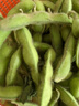 現摘青毛豆新鮮帶殼毛豆新農家鮮青豆農村鮮嫩毛豆角青毛豆 現摘新鮮帶殼毛豆  1斤凈重 曬單實(shí)拍圖