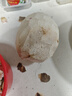 正宗廣西桂林荔浦大芋頭當(dāng)季蔬菜新鮮香芋檳榔芋香糯特產(chǎn) 5斤裝（2-3顆單果1.7斤-3斤） 果王 曬單實(shí)拍圖