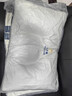 雅鹿乳膠枕頭枕芯一對裝成人深度8H睡眠頸椎枕單人護頸整頭酒店枕頭芯 云端艙-藍邊【升級款】 48*74cm【一對裝】 曬單實(shí)拍圖
