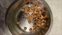 皇家幼貓奶糕 幼貓貓糧 BK34 通用糧 1-4月 2KG 曬單實(shí)拍圖
