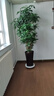 綠盼 綠盼綠植盆栽可移動(dòng)花盆底座托盤帶萬(wàn)向滑輪圓形轱轆結(jié)實(shí)45# 曬單實(shí)拍圖