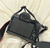 佳能（Canon）佳能r50 入門級微單相機 Vlog拍攝 4K高清視頻 自拍照相 半畫幅無反 學生旅行家用 掃街旅拍套裝  曬單實拍圖