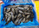 1號(hào)會(huì)員店 泰國活凍黑虎蝦 斑節(jié)對(duì)蝦 海鮮水產(chǎn) 凈重2斤（31-40只） 曬單實(shí)拍圖