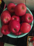 【陜西長(cháng)武蘋(píng)果】產(chǎn)地直供紅富士秦脆蜜脆瑞陽(yáng)瑞雪新鮮高海拔蘋(píng)果 秦脆 10斤裝（凈重9.5斤  普通彩箱裝） 曬單實(shí)拍圖