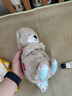 【9成新】費雪（Fisher-Price）安撫玩偶新生兒嬰兒哄睡神器-感官啟蒙之音樂(lè )安撫酣睡小水獺GHL41 曬單實(shí)拍圖