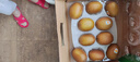 佳沛（zespri）新西蘭  陽光金奇異果10粒禮盒巨大果單果約144-175g 水果 獼猴桃 曬單實拍圖