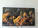 海信電視55E3NH Pro 55英寸 144Hz高刷 杜比全景聲 智能Wi-Fi6 U+超畫質(zhì) 大內(nèi)存 國家補貼20%平板電視 曬單實拍圖