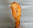 漁大叔 鳳尾蝦干55g低脂高蛋白約15只海鮮休閑小吃零食即食源頭直發(fā)包郵 曬單實(shí)拍圖