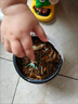 龜真壽 六合一龜糧 300g  烏龜飼料巴西龜蝦干面包蟲魚干六拼草龜海鮮糧 曬單實(shí)拍圖