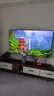 海信電視小墨E5Q Pro 75英寸超畫質(zhì)U+Mini LED 信芯芯片 墨晶屏300Hz 75E5Q-PRO E5NPRO升級 75英寸 咨詢客服有驚喜 曬單實(shí)拍圖