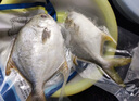 翔泰 海南金鯧魚凈重900g 2條裝  魚類生鮮 燒烤 火鍋食材 海鮮水產(chǎn) 曬單實(shí)拍圖