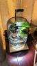 生態(tài)微景觀水培植物瓶創(chuàng)意擺件時來運轉(zhuǎn)小魚缸diy辦公室桌面客廳 新款時來運轉(zhuǎn)+定時植物燈【李白】 曬單實拍圖