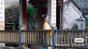 重回漢唐洛水云裳原創(chuàng  )齊胸襦裙套裝披帛唐制漢服女裝春夏 橘藍套裝（褶裙版-白里）/現貨 S 曬單實(shí)拍圖