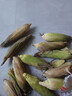 新鮮現摘水果玉米爆漿多汁直播間輕食早餐買(mǎi)菜超市蔬菜品質(zhì) 新鮮水果玉米5斤 含箱 曬單實(shí)拍圖