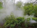 EVANLEY德國消殺煙霧機滅蚊噴霧機脈沖式彌霧機霧化打藥機汽油電動(dòng)噴霧器 180k雙管彌霧機 曬單實(shí)拍圖