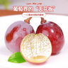 妮娜皇后葡萄生鮮水果現摘現發(fā)提子禮箱【S級15g+】紅酒香+花香 12~15gs級果王級 1斤顆粒裝 曬單實(shí)拍圖