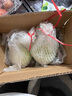 廣西紅心白心芭樂番石榴新鮮水果當(dāng)季孕婦香甜軟巴樂果 白心芭樂 帶箱1斤 單果100g+ 曬單實拍圖