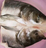 仙泉湖花鰱魚(yú)頭 600g/個(gè)冷凍雙邊大胖頭鳙魚(yú) 海鮮水產(chǎn)食材 曬單實(shí)拍圖