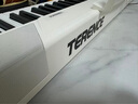 特倫斯（Terence）電鋼琴88鍵折疊電子鋼琴兒童初學者考級成人家用鋼琴V50便攜鋼琴 時尚白 官方標配 曬單實拍圖