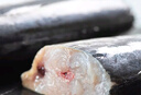 蓋世 鲅魚(yú)冷凍一斤裝  2條 海鮮鲅魚(yú) 生鮮烹飪食材 水產(chǎn) 曬單實(shí)拍圖